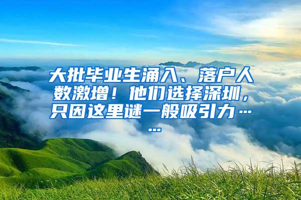 大批毕业生涌入、落户人数激增！他们选择深圳，只因这里谜一般吸引力……