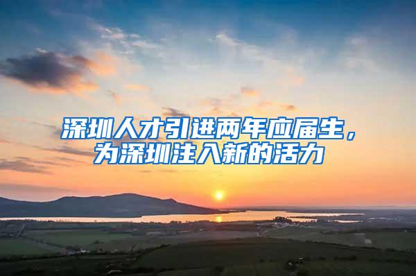 深圳人才引进两年应届生，为深圳注入新的活力