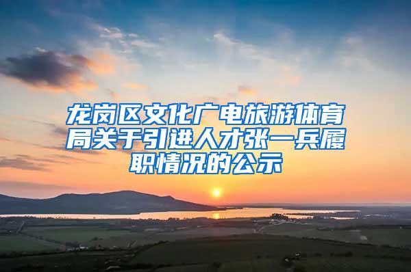 龙岗区文化广电旅游体育局关于引进人才张一兵履职情况的公示