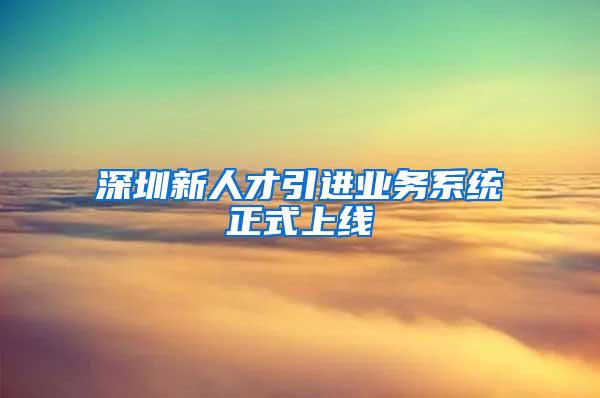 深圳新人才引进业务系统正式上线