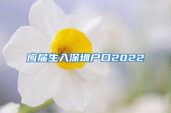 应届生入深圳户口2022