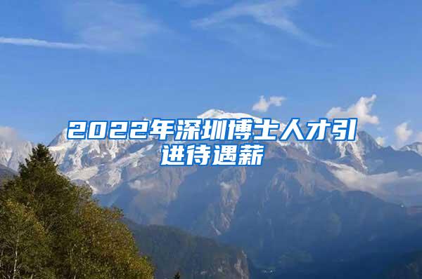 2022年深圳博士人才引进待遇薪