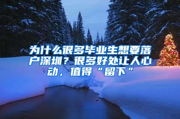 为什么很多毕业生想要落户深圳？很多好处让人心动，值得“留下”