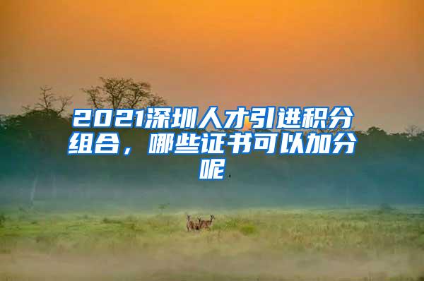 2021深圳人才引进积分组合，哪些证书可以加分呢