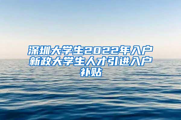 深圳大学生2022年入户新政大学生人才引进入户补贴