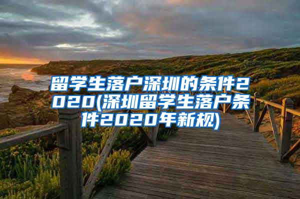 留学生落户深圳的条件2020(深圳留学生落户条件2020年新规)