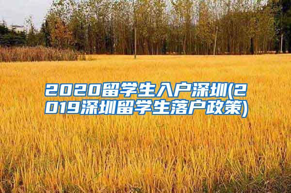 2020留学生入户深圳(2019深圳留学生落户政策)