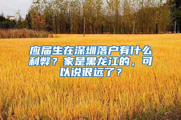 应届生在深圳落户有什么利弊？家是黑龙江的，可以说很远了？