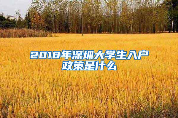 2018年深圳大学生入户政策是什么