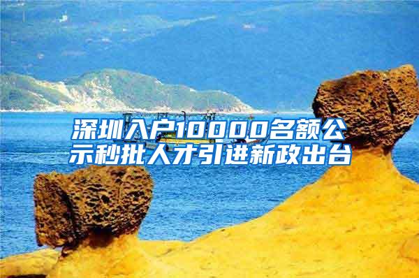 深圳入户10000名额公示秒批人才引进新政出台