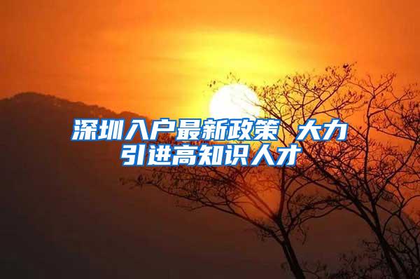 深圳入户最新政策 大力引进高知识人才