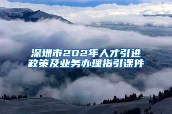 深圳市202年人才引进政策及业务办理指引课件