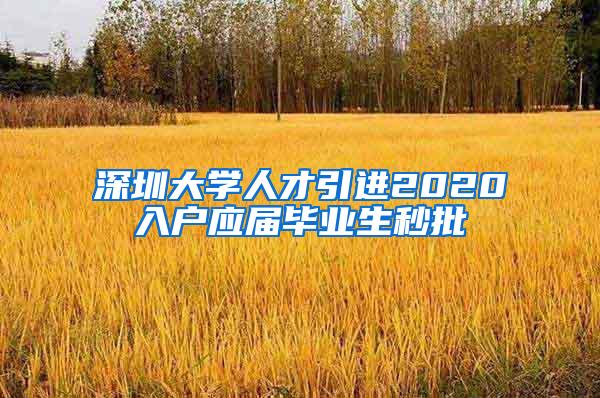 深圳大学人才引进2020入户应届毕业生秒批