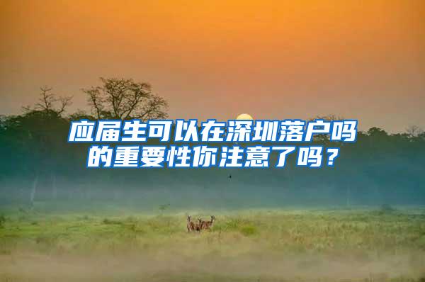 应届生可以在深圳落户吗的重要性你注意了吗？