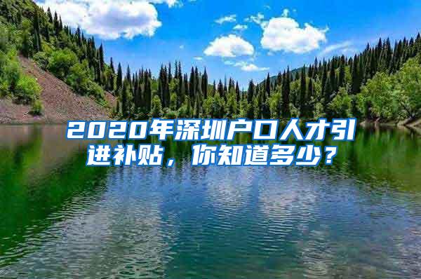 2020年深圳户口人才引进补贴，你知道多少？