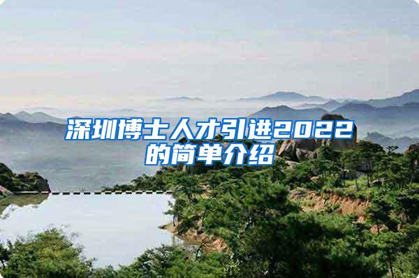 深圳博士人才引进2022的简单介绍