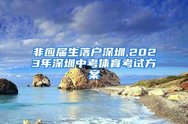 非应届生落户深圳,2023年深圳中考体育考试方案