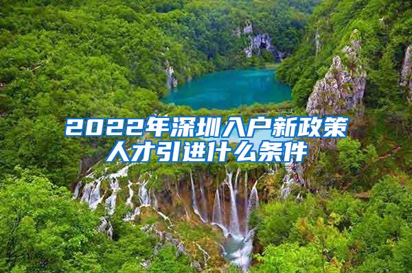 2022年深圳入户新政策人才引进什么条件