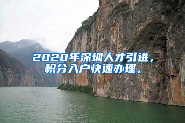 2020年深圳人才引进，积分入户快速办理，