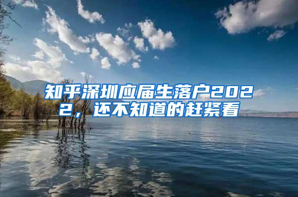 知乎深圳应届生落户2022，还不知道的赶紧看