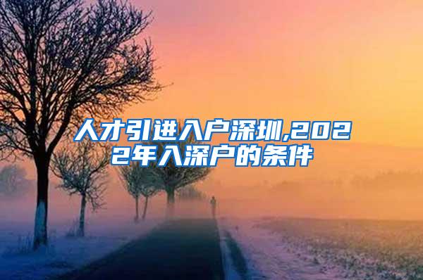 人才引进入户深圳,2022年入深户的条件