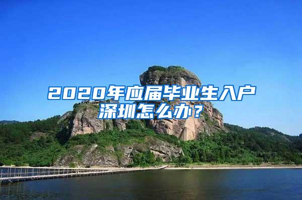 2020年应届毕业生入户深圳怎么办？