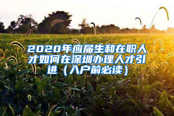 2020年应届生和在职人才如何在深圳办理人才引进（入户前必读）