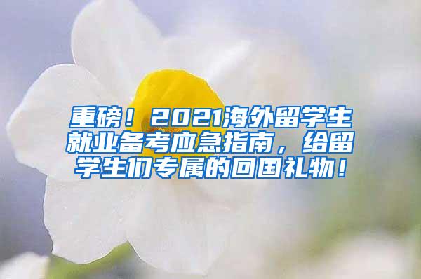 重磅！2021海外留学生就业备考应急指南，给留学生们专属的回国礼物！