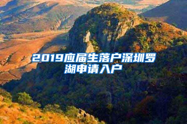 2019应届生落户深圳罗湖申请入户