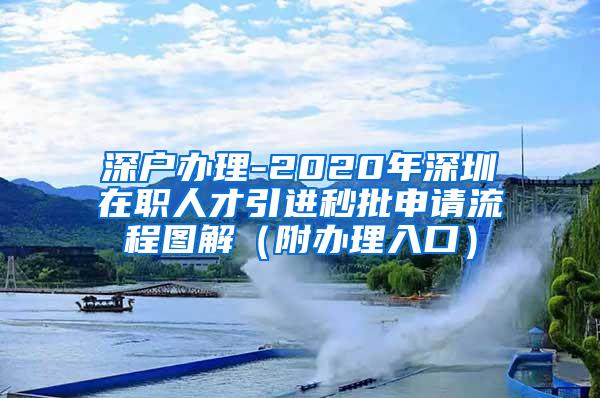 深户办理-2020年深圳在职人才引进秒批申请流程图解（附办理入口）