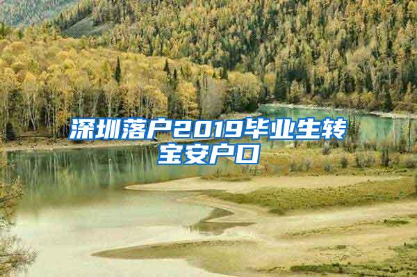 深圳落户2019毕业生转宝安户口