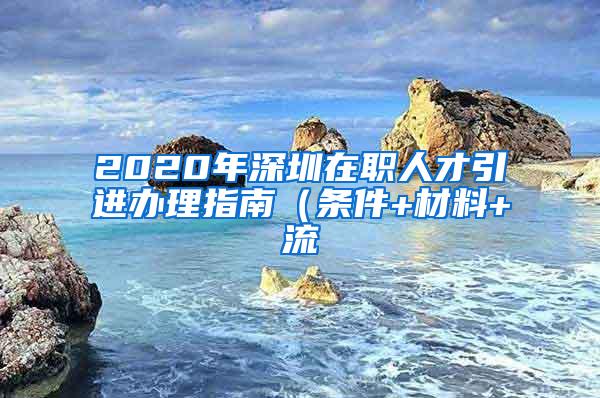 2020年深圳在职人才引进办理指南（条件+材料+流