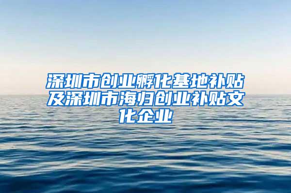 深圳市创业孵化基地补贴及深圳市海归创业补贴文化企业