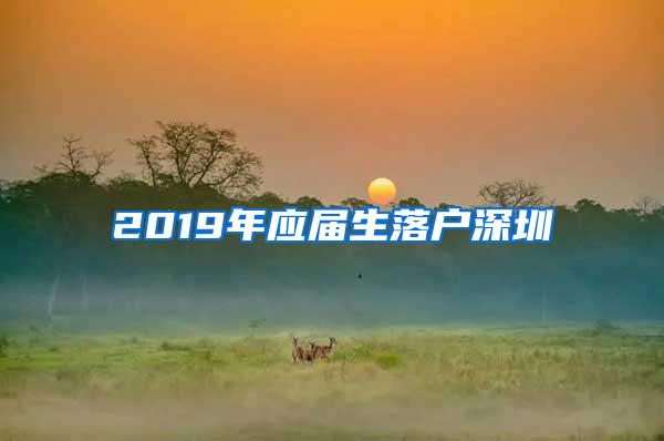 2019年应届生落户深圳