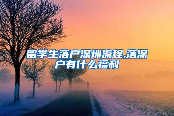 留学生落户深圳流程,落深户有什么福利