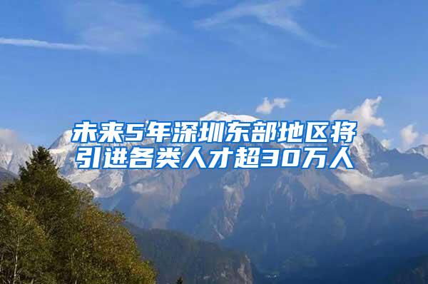 未来5年深圳东部地区将引进各类人才超30万人