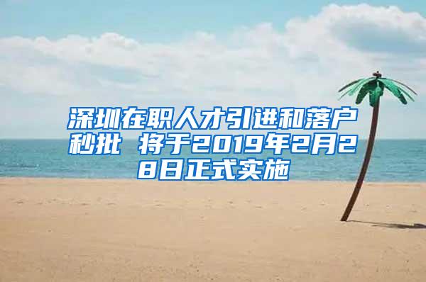 深圳在职人才引进和落户秒批 将于2019年2月28日正式实施