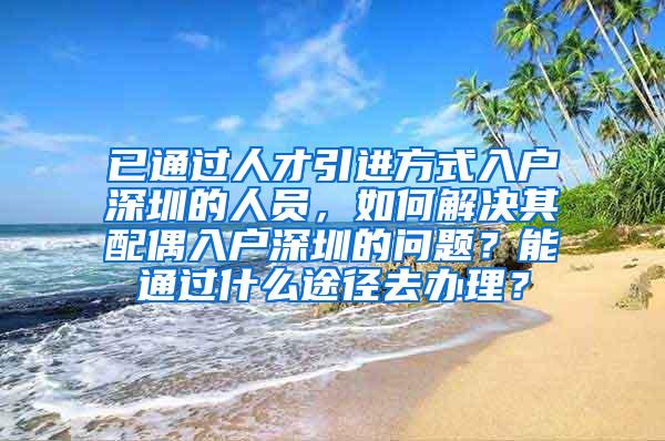 已通过人才引进方式入户深圳的人员，如何解决其配偶入户深圳的问题？能通过什么途径去办理？