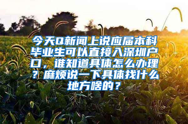 今天Q新闻上说应届本科毕业生可以直接入深圳户口，谁知道具体怎么办理？麻烦说一下具体找什么地方啥的？