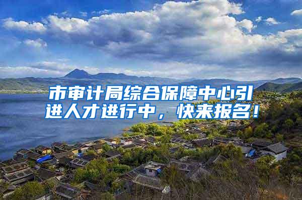 市审计局综合保障中心引进人才进行中，快来报名！