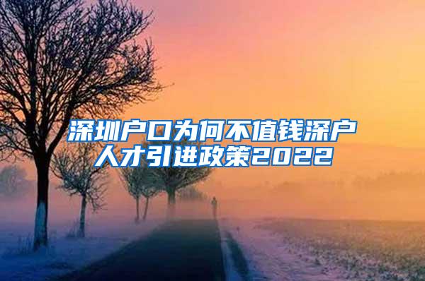 深圳户口为何不值钱深户人才引进政策2022