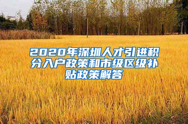 2020年深圳人才引进积分入户政策和市级区级补贴政策解答