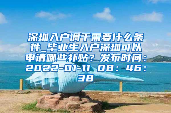 深圳入户调干需要什么条件_毕业生入户深圳可以申请哪些补贴？发布时间：2022-01-11 08：46：38