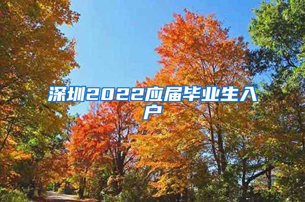 深圳2022应届毕业生入户