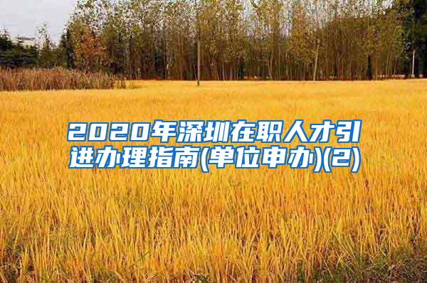 2020年深圳在职人才引进办理指南(单位申办)(2)