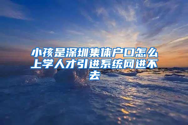 小孩是深圳集体户口怎么上学人才引进系统网进不去