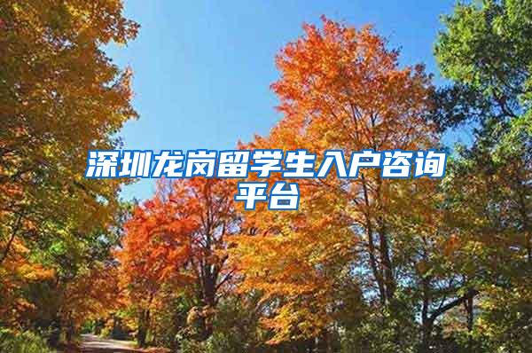 深圳龙岗留学生入户咨询平台