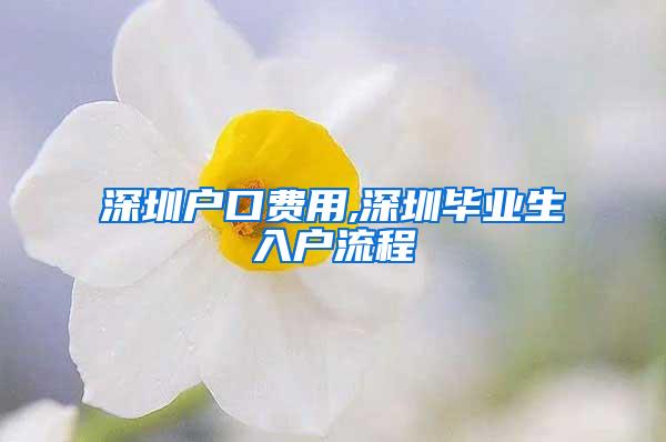 深圳户口费用,深圳毕业生入户流程