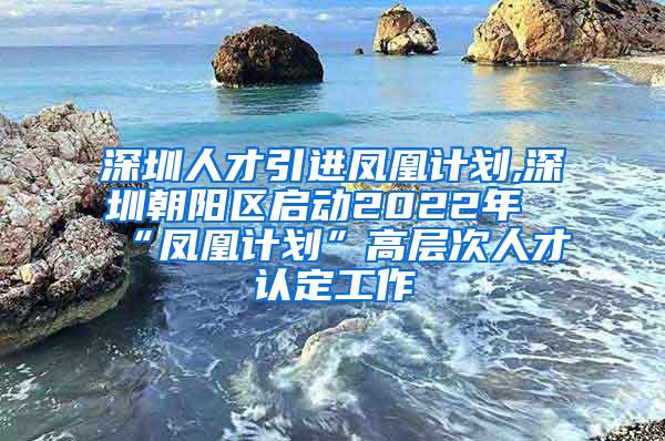 深圳人才引进凤凰计划,深圳朝阳区启动2022年“凤凰计划”高层次人才认定工作