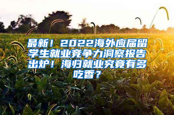 最新！2022海外应届留学生就业竞争力洞察报告出炉！海归就业究竟有多吃香？